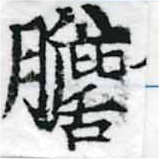 Located 膽