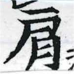 已定位肩