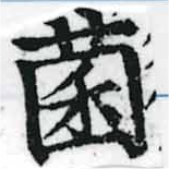 已定位菌