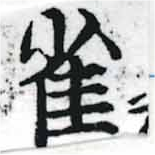 已定位雀