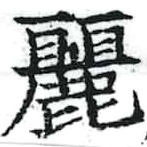 麗の位置