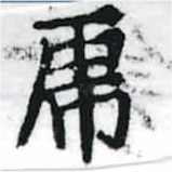 已定位虎