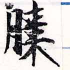 已定位膝