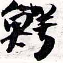 鱷の位置