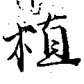 位置 確認된 植