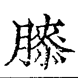 已定位膝