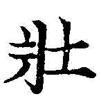 已定位壯