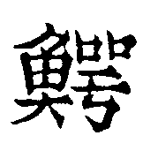 鱷の位置