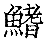 Located 鰭