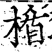 Located 楯