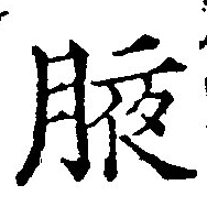 㐌定位腋