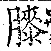 Đã định vị 膝
