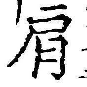 已定位肩