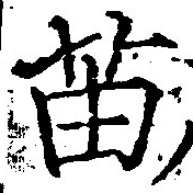 苗の位置