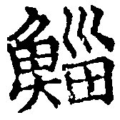 Đã định vị 鯔