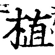 位置 確認된 植