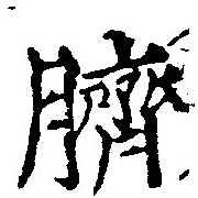 臍の位置