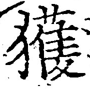 已定位獲
