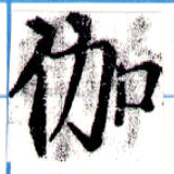 位置 確認된 伽