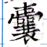 囊の位置