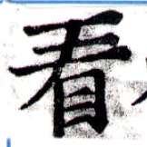 已定位看