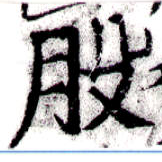 位置定マレル股