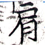 已定位肩