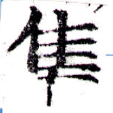 隼 위치 확인됨