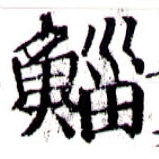 Đã định vị 鯔