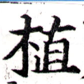 位置 確認된 植