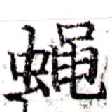 Đã định vị 蠅