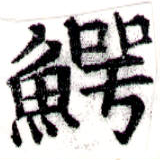 鱷の位置