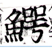 鱷の位置