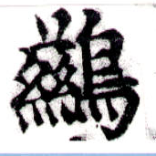 鶿 위치 확인됨