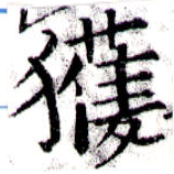 已定位獲