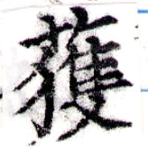 已定位獲