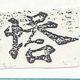 已定位塔