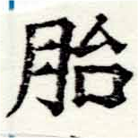 Located 胎