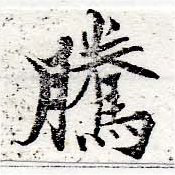 Đã định vị 騰