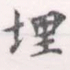 位置定マレル埋