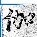 位置 確認된 伽