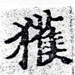 已定位獲