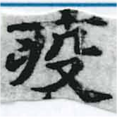 位置定マレル疫