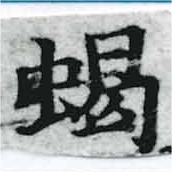 位置 確認된 蝎