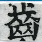 已定位齒