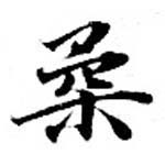 已定位柔