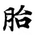 Located 胎