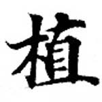 位置 確認된 植