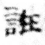 已定位誑