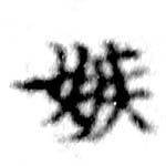嫉の位置